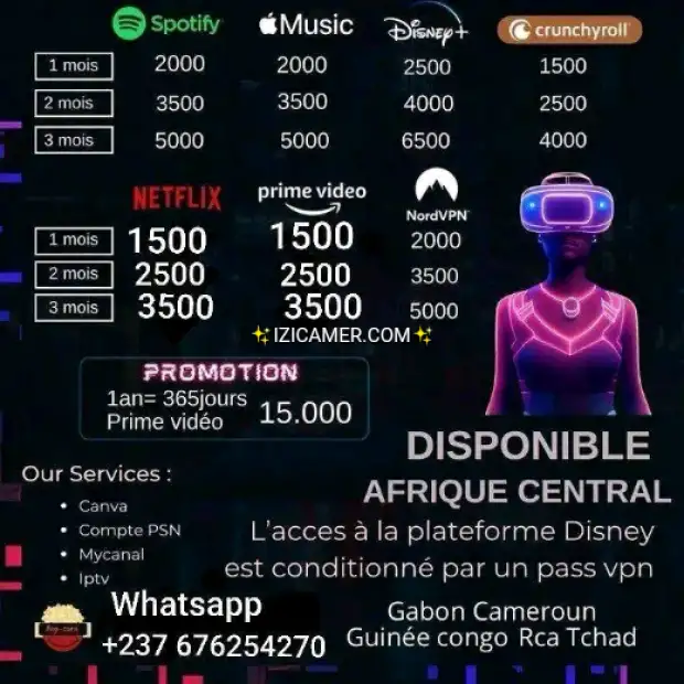 Abonnement Netflix et Divers