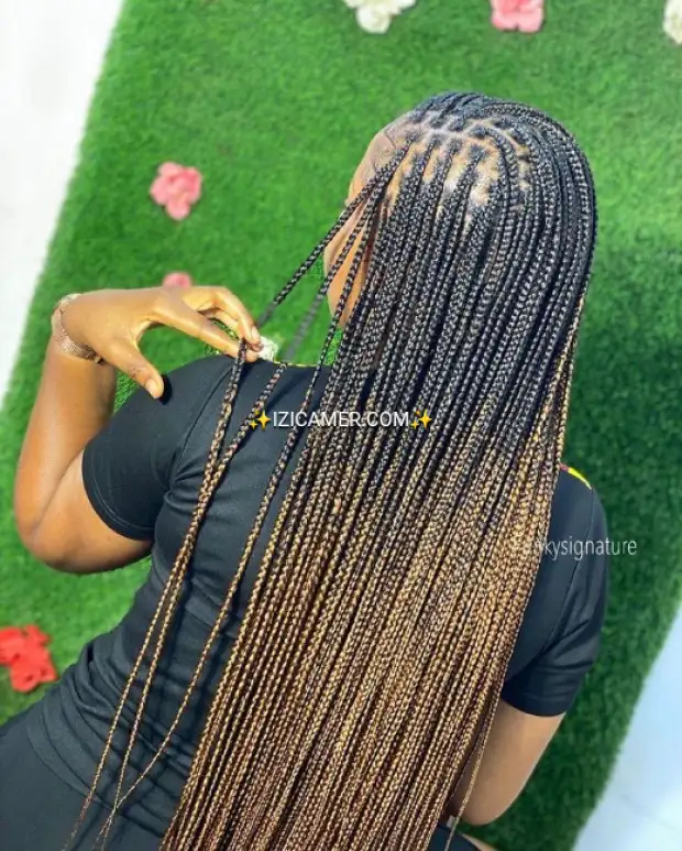 Mèche ombre_braids | IZICAMER