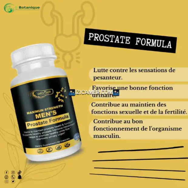 Complément Alimentaire Formule Prostate