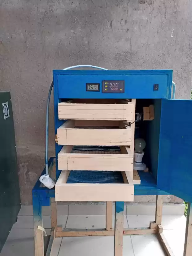 Incubateur manuel d'une capacité de 90 a 100 œufs de poule | IZICAMER