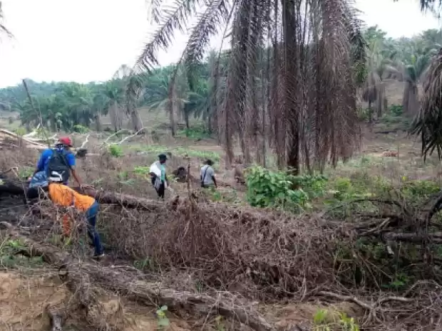 Terrain titré Douala 5 Ème