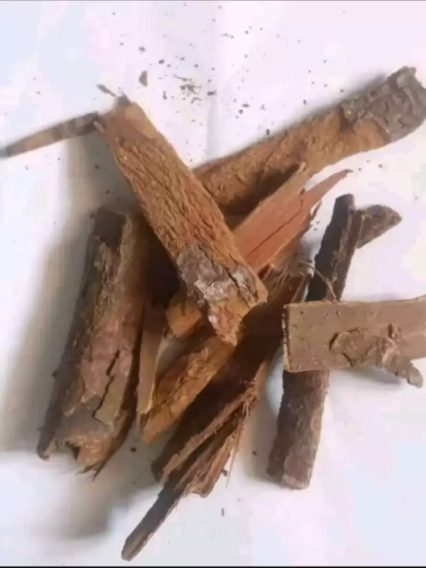 Bois Bandé