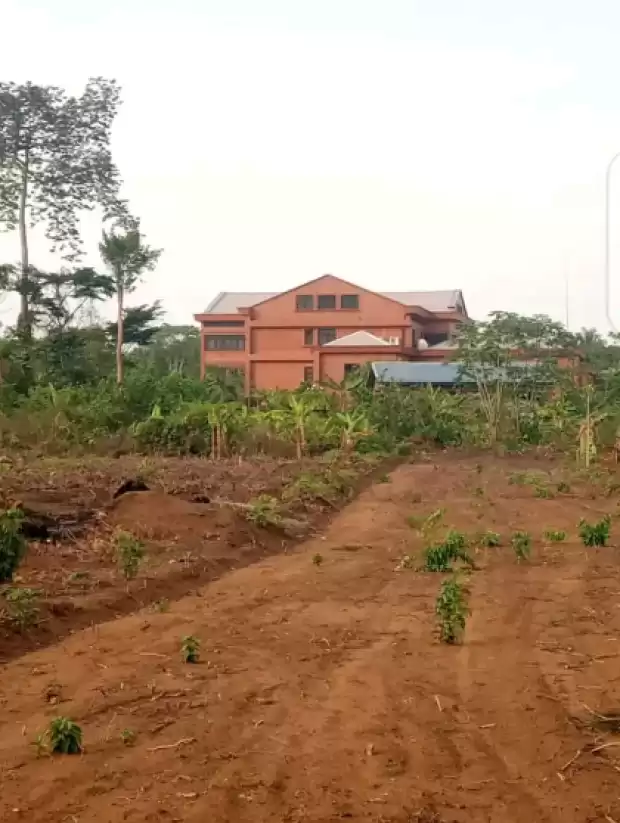 Terrain à vendre bomono Gare biendede vente devant notaire