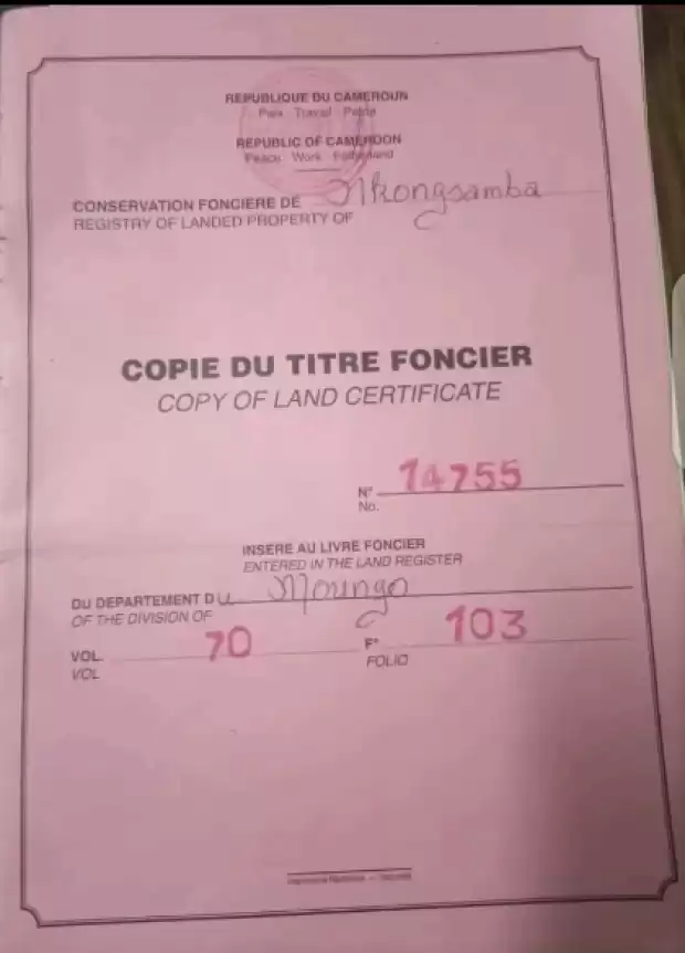 Terrain à vendre bomono Gare biendede vente devant notaire | IZICAMER