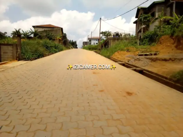 Plusieurs hectares disponible à vendre NGOMA.. logbessou | IZICAMER