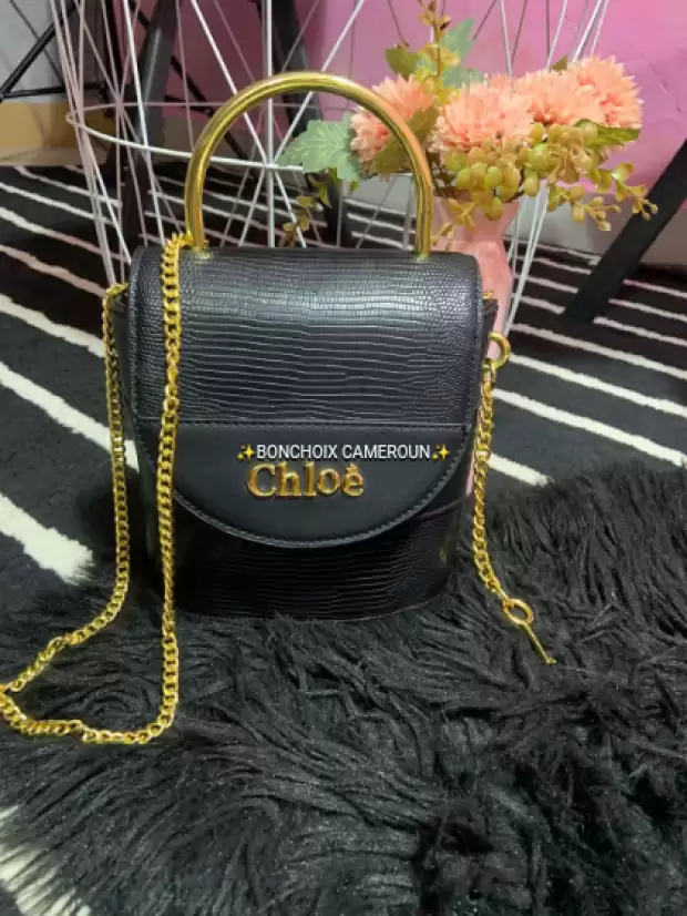Magnifique Sac Chloé