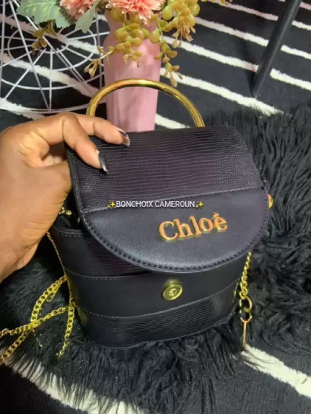 Magnifique Sac Chloé | IZICAMER
