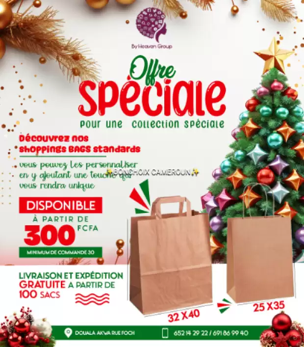 Shopping bag kraft