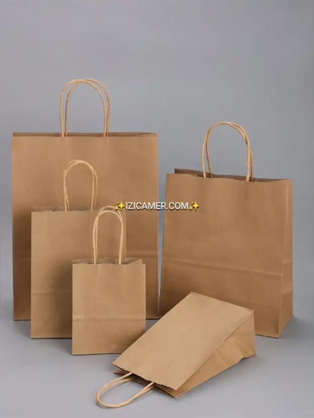 Sacs krafts | IZICAMER