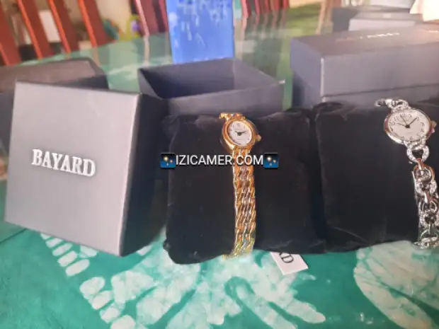 Montre luxueuse Bayard