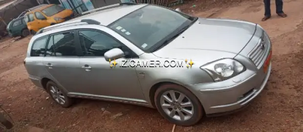 Toyota Avensis tête de cochon