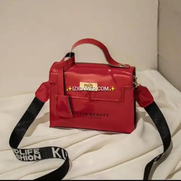Petit sac à main