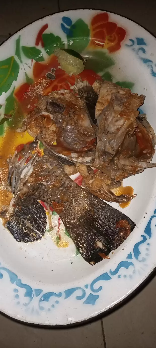 Poisson bio kribi | IZICAMER