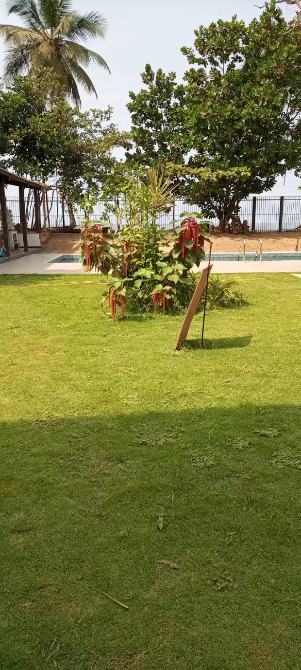 La maison ? blanche pour ton séjour à kribi