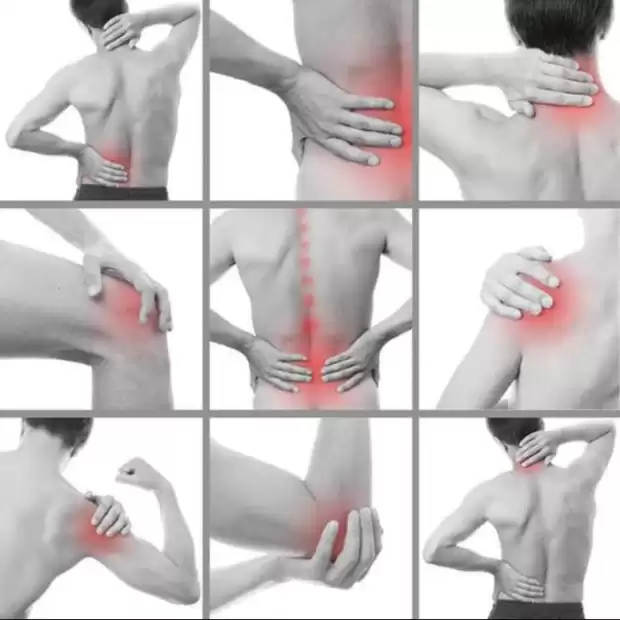 Arthro SupReviver Longrich | IZICAMER