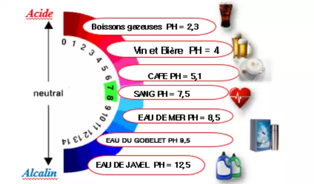 GOBELET ALCALIN DE LONGRICH | IZICAMER