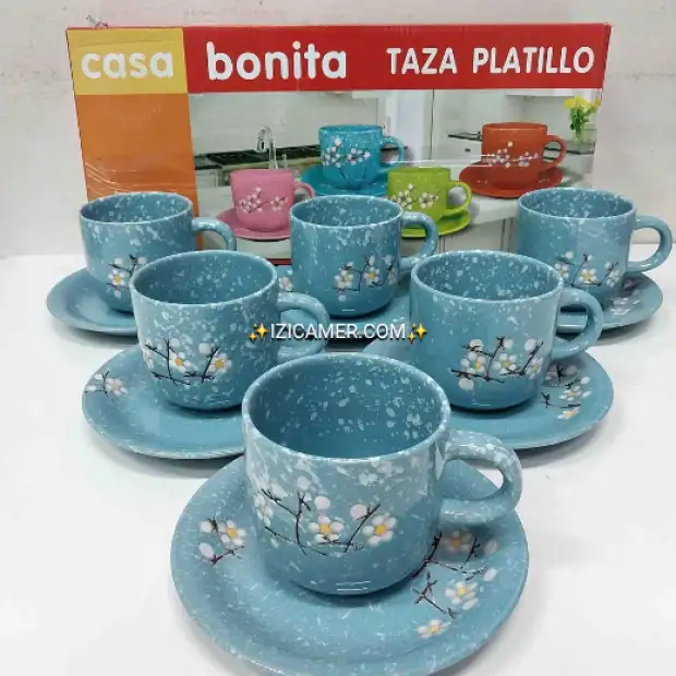12 Pieces  6tasses et  6 sous tasses  beautiful designs