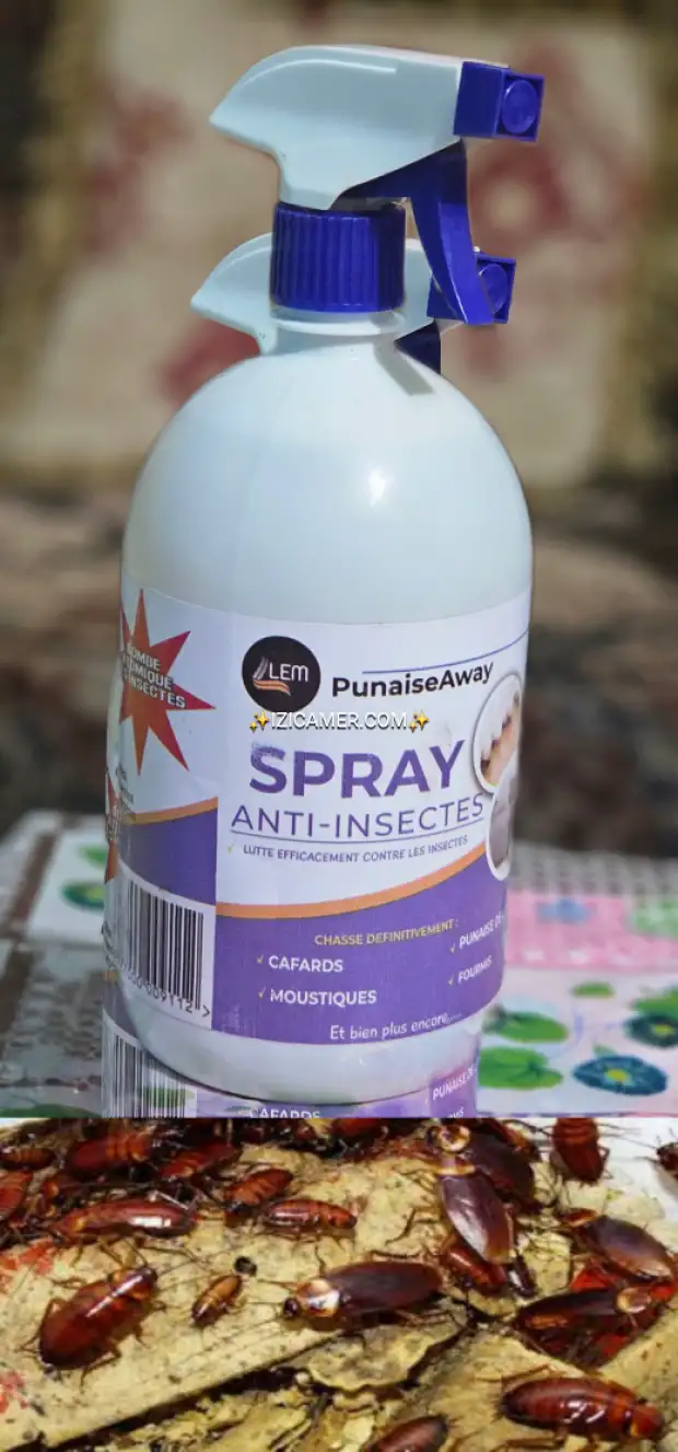 spray anti insecte lute efficacement contre les punaises de lit ,les cafards, les moustiques, etc.