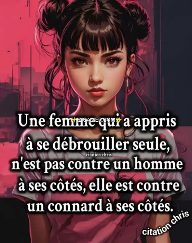Les anti moustique électrique