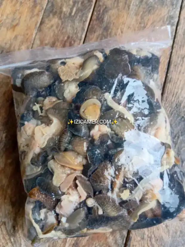 Viande d escargots | IZICAMER
